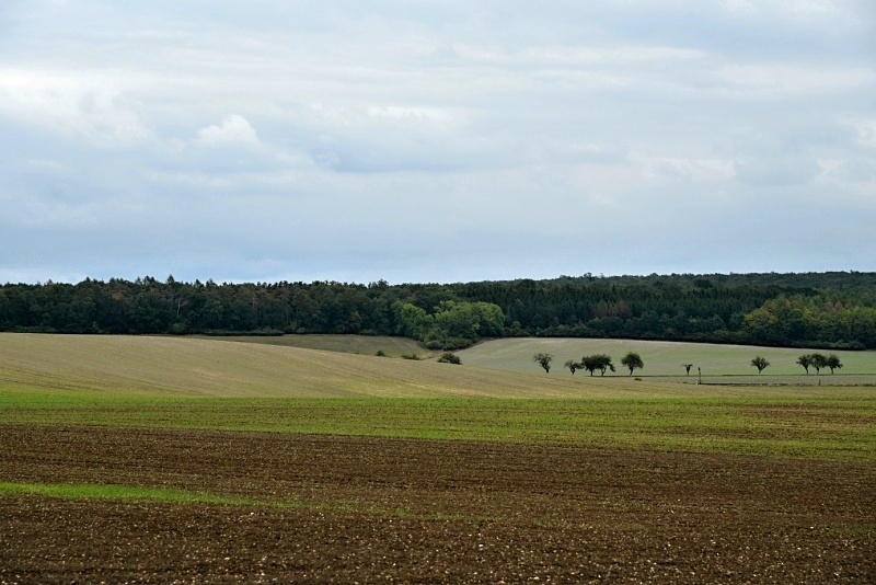 Viničná Lhota